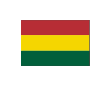 Bandera bolivia s/e 0,60x0,40