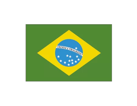 Bandera brasil 1,00x0,70