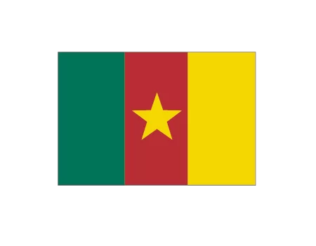 Bandera camerún - 1,00x0,70