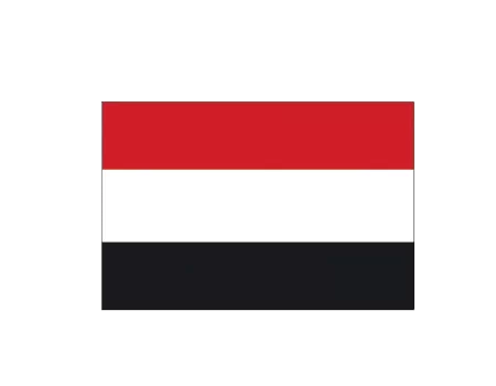 Bandera egipto s/e 0,60x0,40