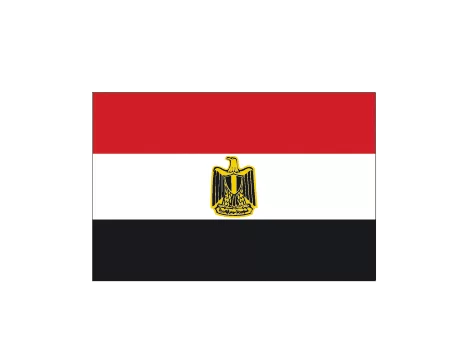 Bandera egipto c/e 1,50x1,00