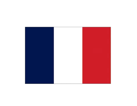 Bandera francia 0,45x0,35