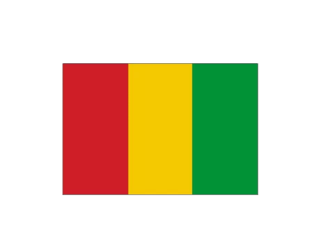 Bandera guinea 0,60x0,40