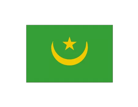 Bandera mauritania 0,60x0,40