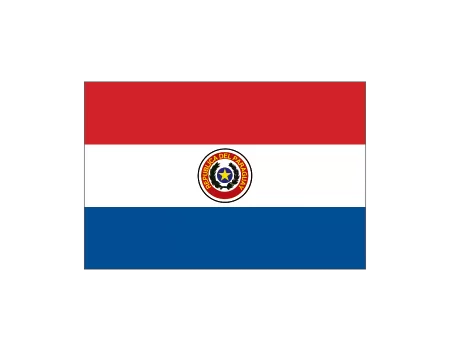 Bandera paraguay c/e 0,60x0,40