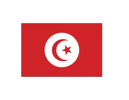 Bandera tunez 0,45x0,35