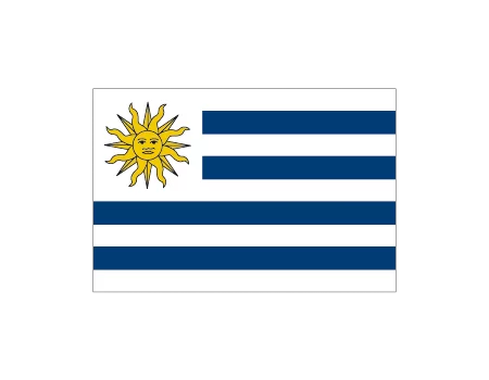 Bandera uruguay 1,00x0,70