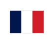 Bandera francia 0,30x0,20