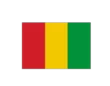 Bandera guinea 2,00x1,30