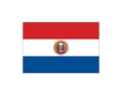 Bandera paraguay c/e 0,60x0,40