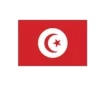 Bandera tunez 0,30x0,20