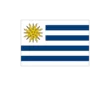 Bandera uruguay 1,00x0,70